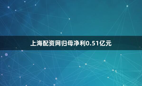 上海配资网归母净利0.51亿元