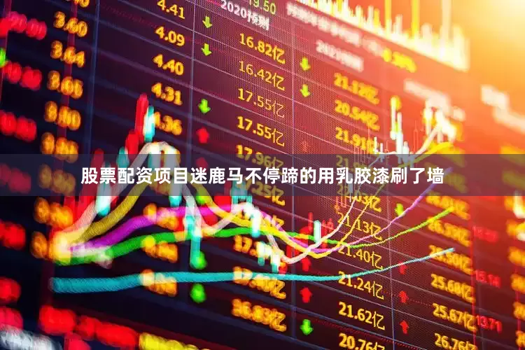 股票配资项目迷鹿马不停蹄的用乳胶漆刷了墙