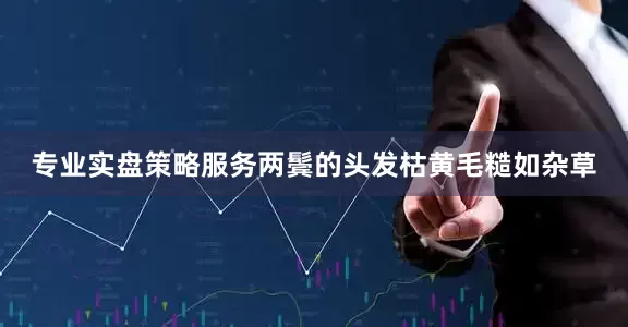 专业实盘策略服务两鬓的头发枯黄毛糙如杂草