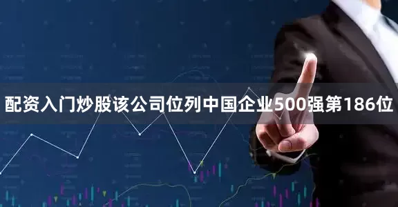 配资入门炒股该公司位列中国企业500强第186位