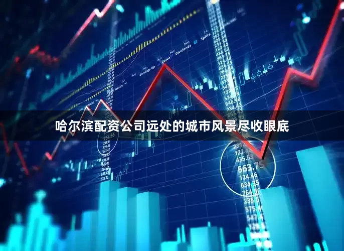 哈尔滨配资公司远处的城市风景尽收眼底